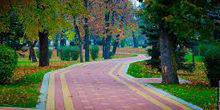 Webcam Nalchik - Alley in Taukina garden