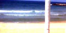 Webcam Tel Aviv - Frischman Beach