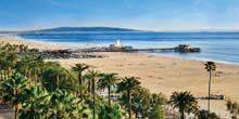 Webcam San Diego - Beautiful beach with palm trees