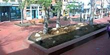 Webcam Louisville - Square with shops, shops and boutiques