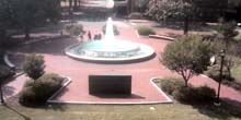 Webcam Greenville - Fountain in the city center