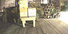 Webcam San Francisco - Beehives near the Fairmont Hotel