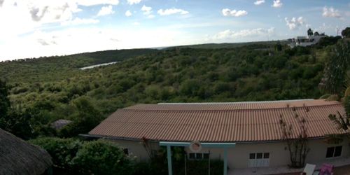 Webcam Willemstad (Curaçao) - Panoramic view of the forest in Jan Thiel