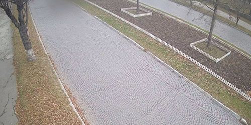 Webcam Kamianets-Podilskyi - Avenue of Roses, Tankistov Square