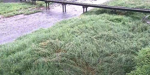 Webcam Tokushima - Mountain river Sadamitsu in Tsurugi village