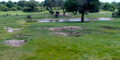 Webcam Mbombela - Tembe Elephant Park