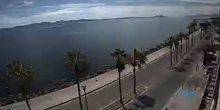 Webcam Loreto - Embankment with palm trees