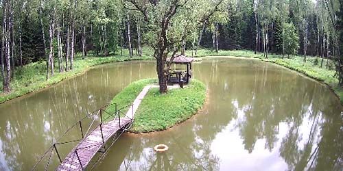 Веб-камера Москвы - Озеро с беседкой в Троицком парке