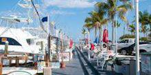 Webcam Islamorada - Whale Harbor